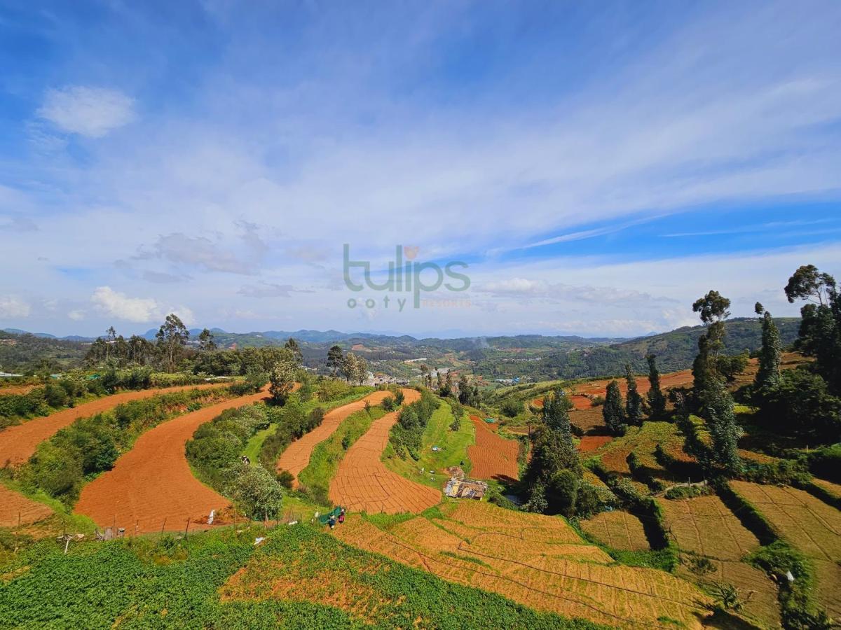 Tulips Village Resorts Ooty Εξωτερικό φωτογραφία